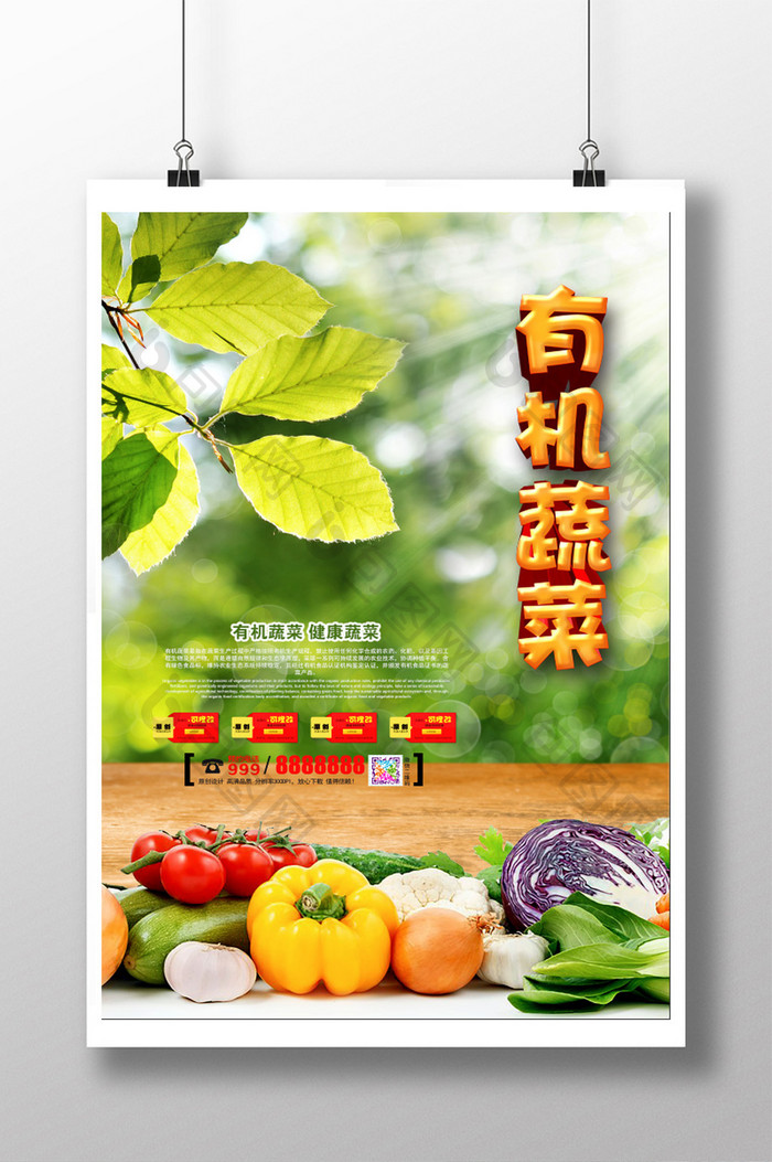 有机蔬菜健康安全海报