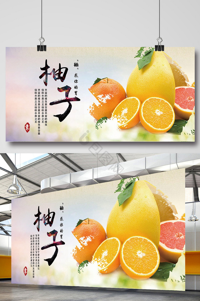 柚子展板图片