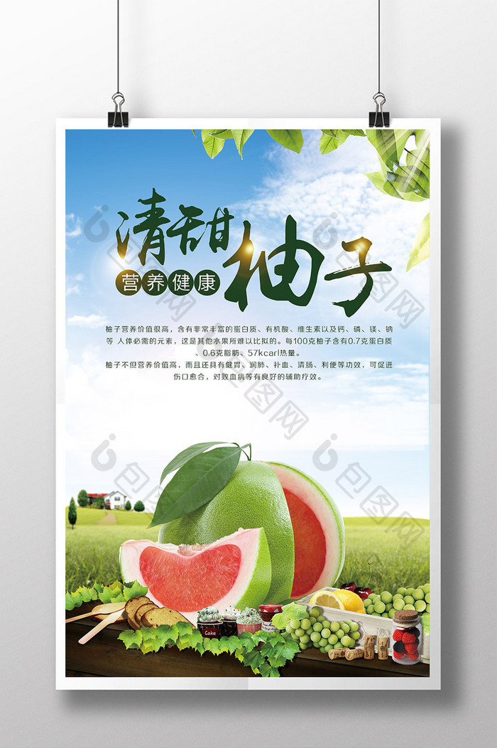 沙田柚宣传海报