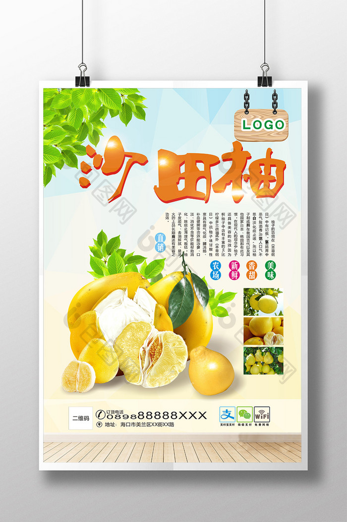 沙田柚海报设计