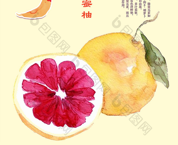 柚子手绘地产特产红心柚子宣传 海报下载 包图网