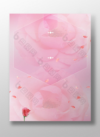 粉色玫瑰花朵背景图片