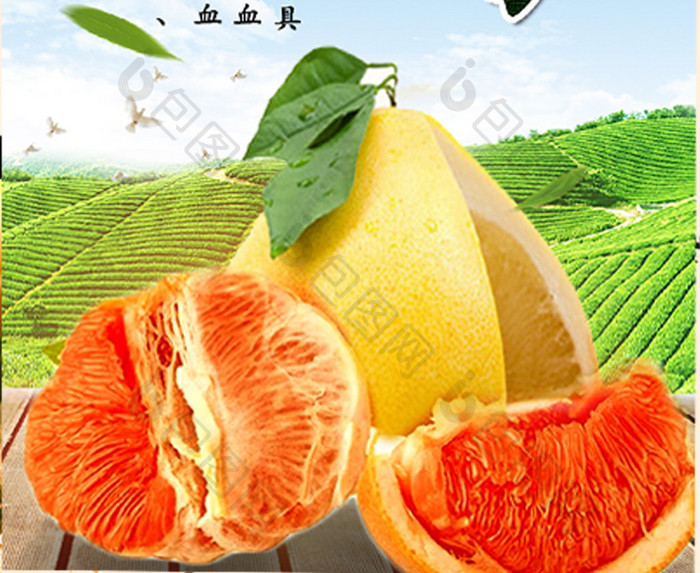 清新田园柚子水果宣传海报