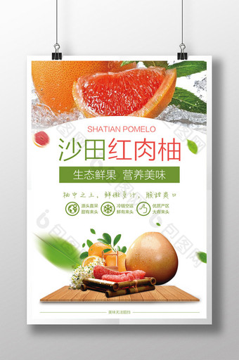 沙田红肉柚子清新水果海报图片