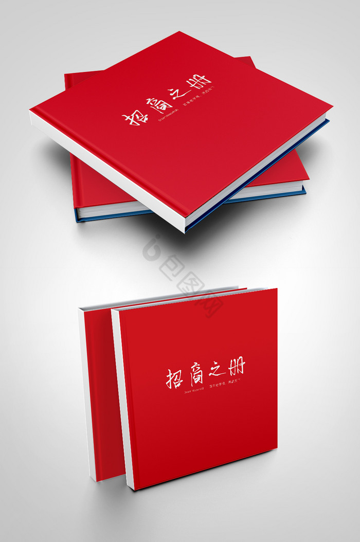 中国红招商画册图片