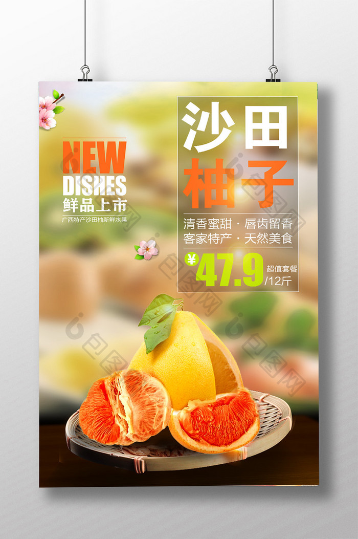 沙田清新红心柚子水果特产美食海报