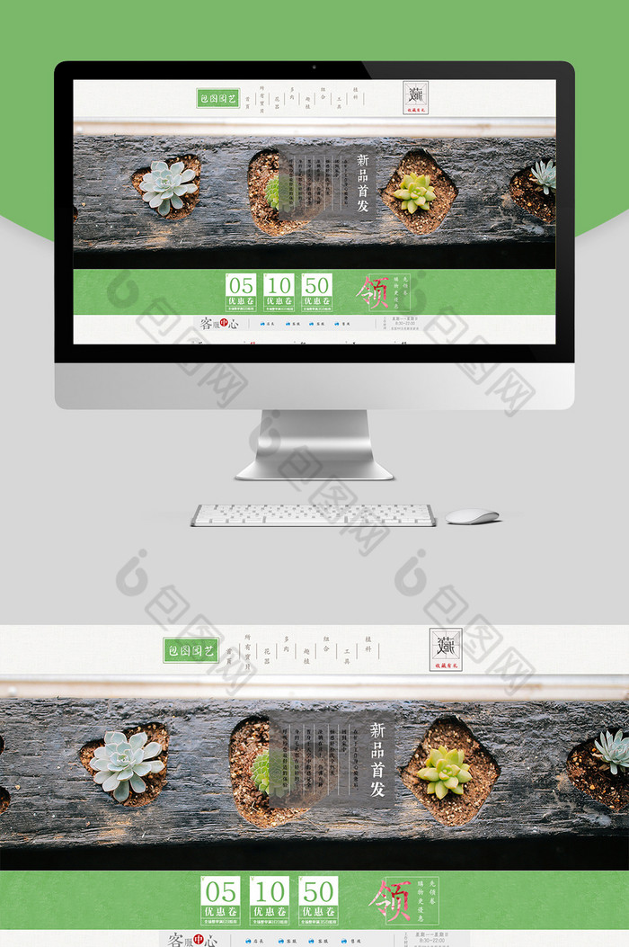 绿萝盆栽植物海报图片