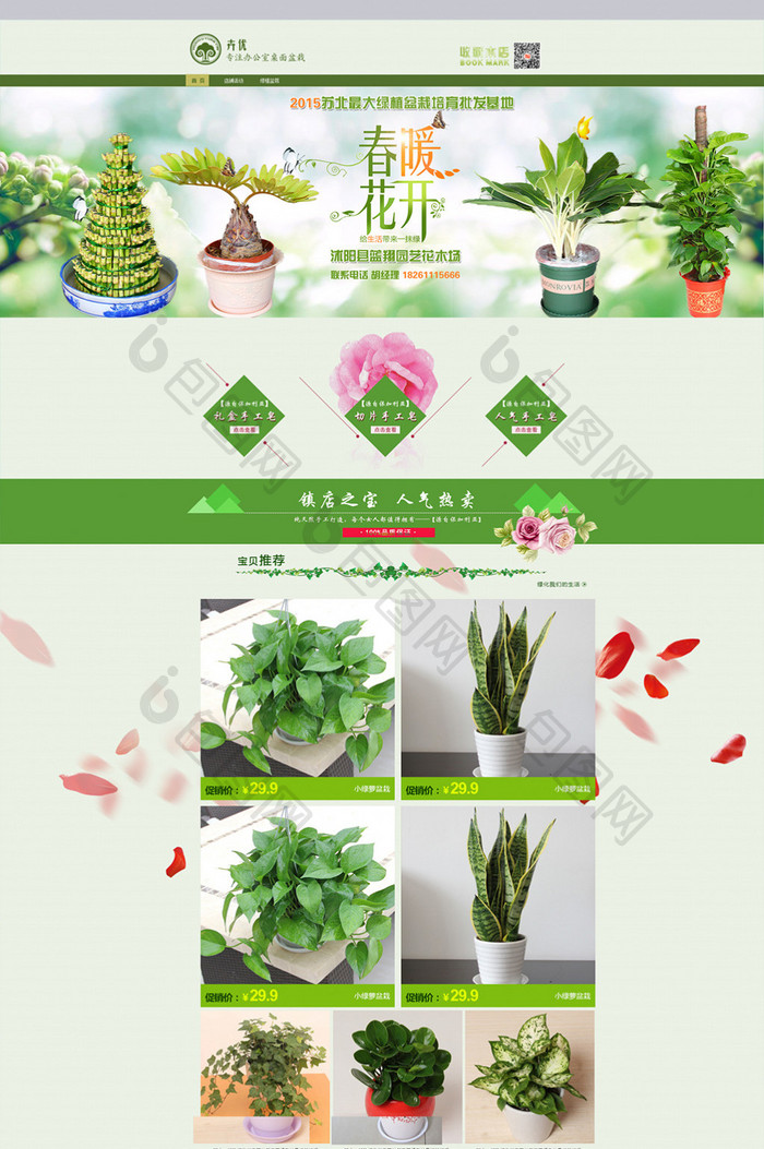 花卉家居用品绿萝植被鲜花首页设计模板PS