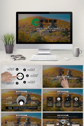 中国烟草总结报告PPT模板