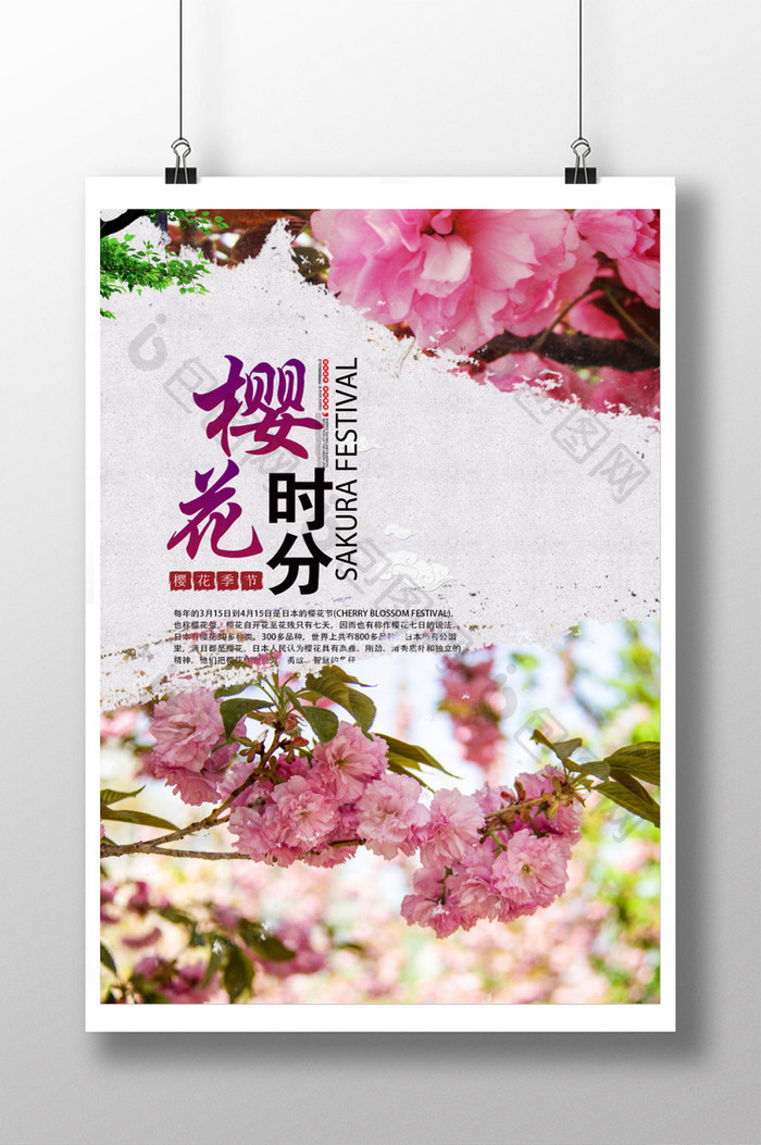 樱花节旅游风景民族文化背景