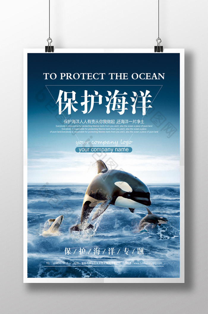 保护海洋公益活动图片图片
