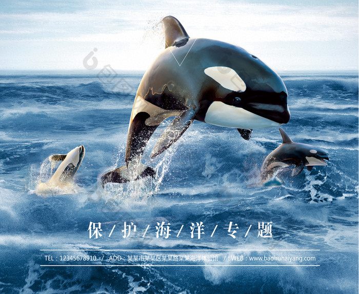 工作qq 关注免费下载相关搜索:保护图片保护海洋图片保护海洋动物图片