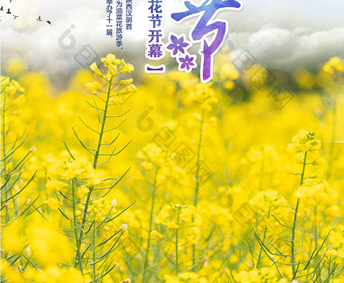 油菜花节旅游图片