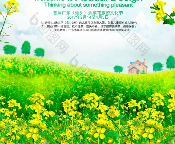 油菜花图片