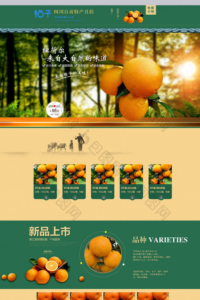 淘宝天猫食品芒果橙子橘子首页PSD模板