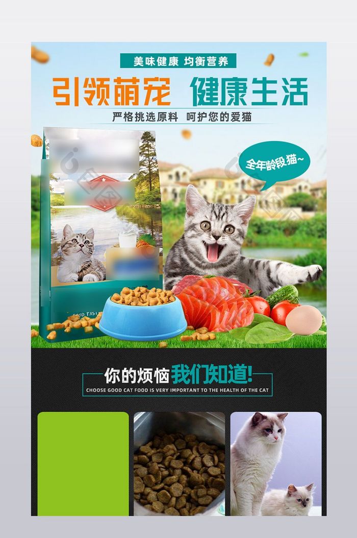 淘宝天猫宠物用品食品详情页