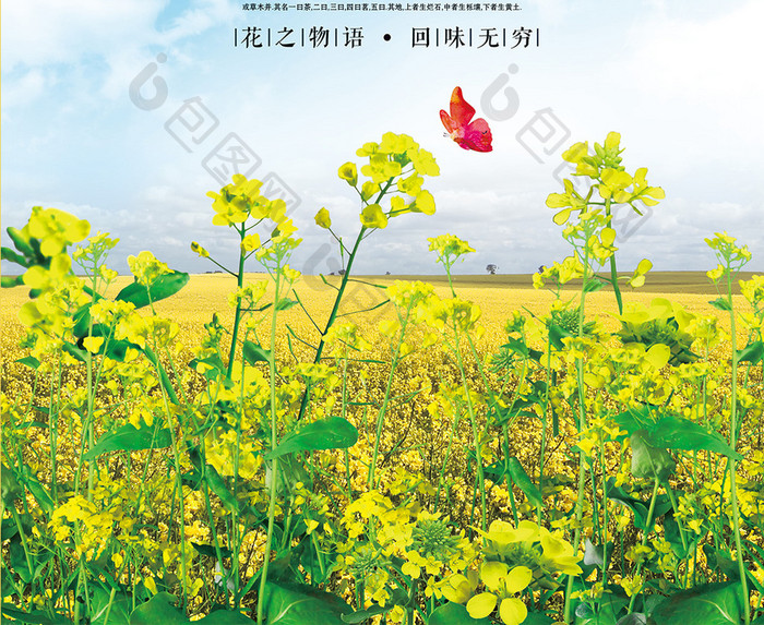 油菜花节旅游宣传海报