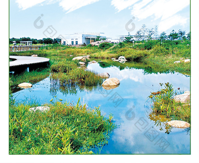 绿色清新保护湿地环保公益海报展板设计
