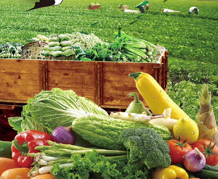 绿色农产品海报