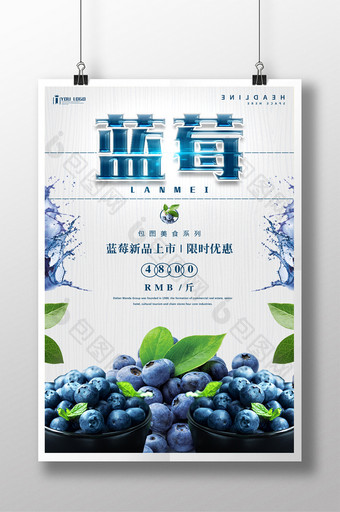 蓝莓餐饮美食系列海报设计图片