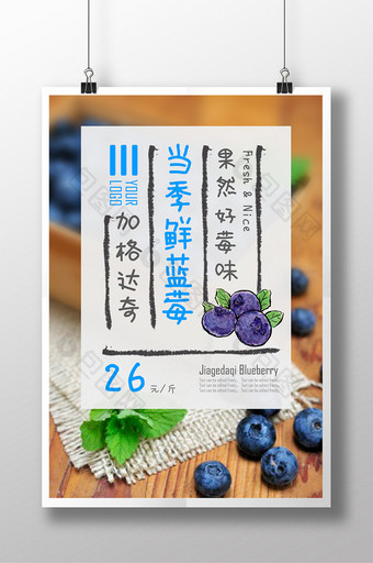 新鲜加格达奇蓝莓上市海报图片