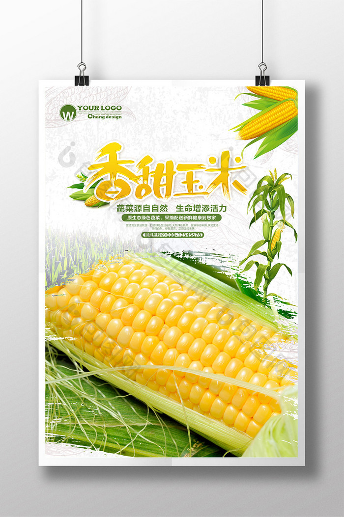 清新玉米海报设计