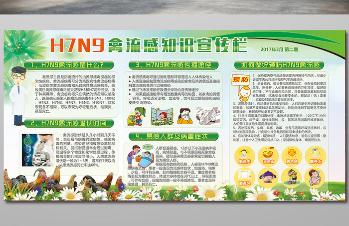 预防H7N9禽流感健康知识宣传栏设计