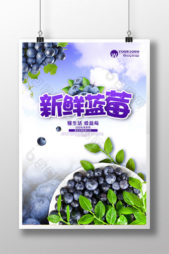 清新蓝莓海报设计图片