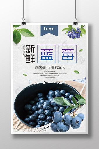 简约大气蓝莓水果海报图片