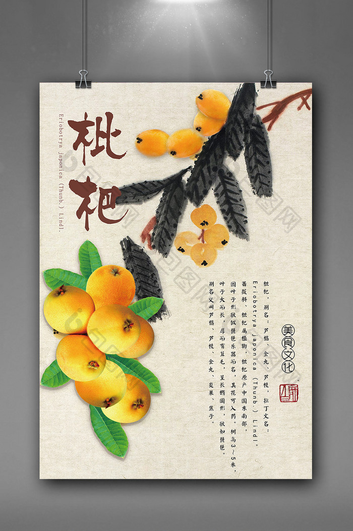 中国风枇杷海报