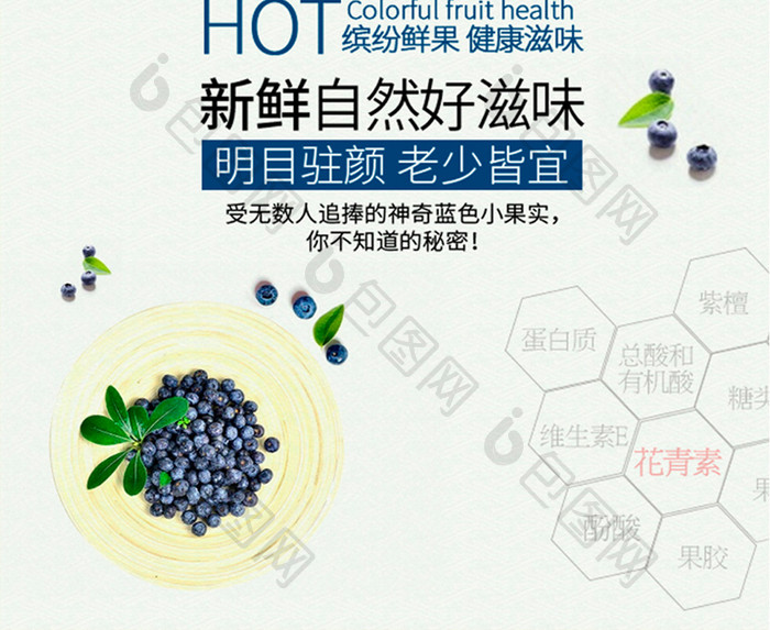 简约蓝莓新鲜水果促销海报