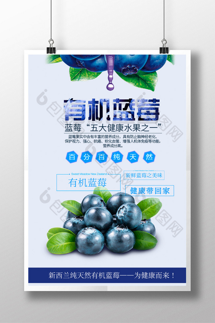 新鲜蓝莓宣传海报蓝莓采摘宣传海报有机蓝莓图片