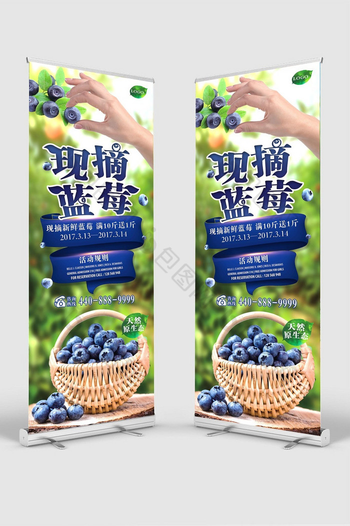 蓝莓园蓝莓促销广告蓝莓展板图片