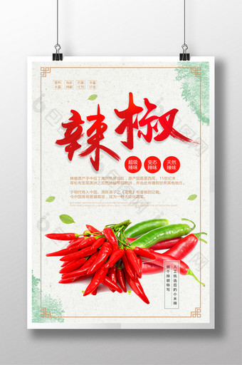 辣椒美食蔬菜海报图片
