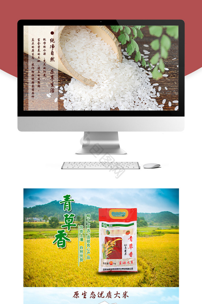 稻花香大米食品极简首页模板图片