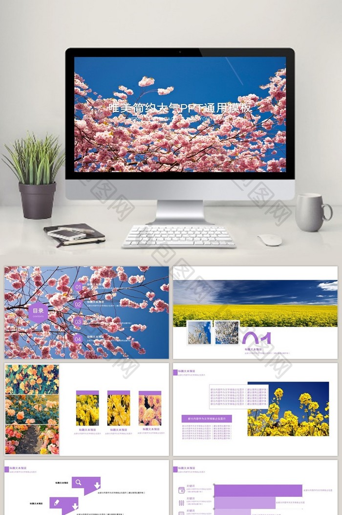 唯美秀气大方简约时尚小清新通用PPT模板图片图片