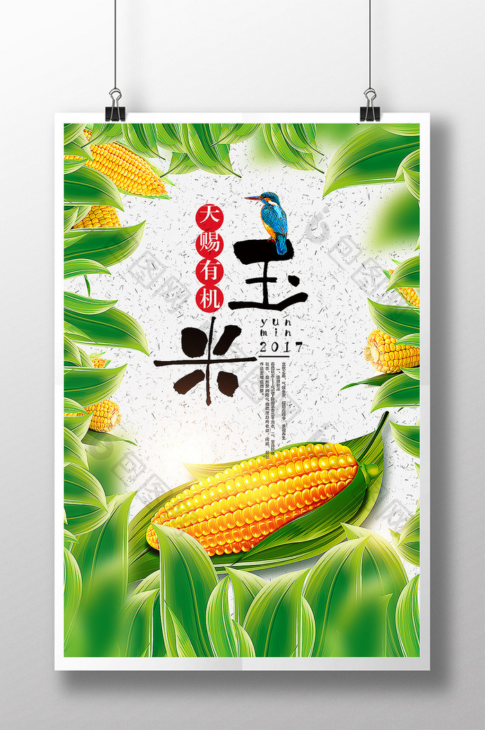 玉米海报设计模板