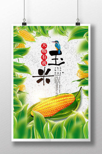 玉米海报设计模板图片