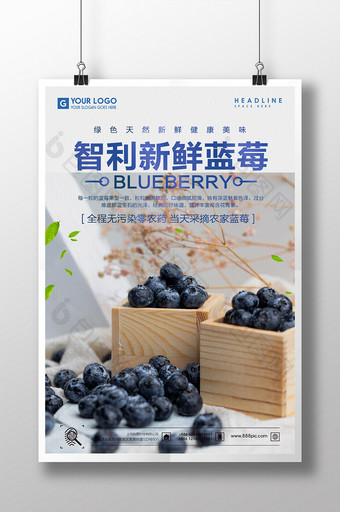 智利新鲜蓝莓海报设计图片