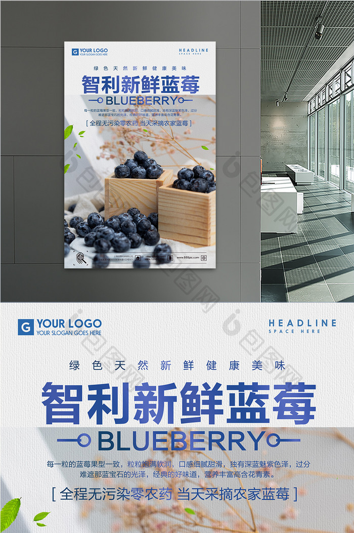 智利新鲜蓝莓海报设计