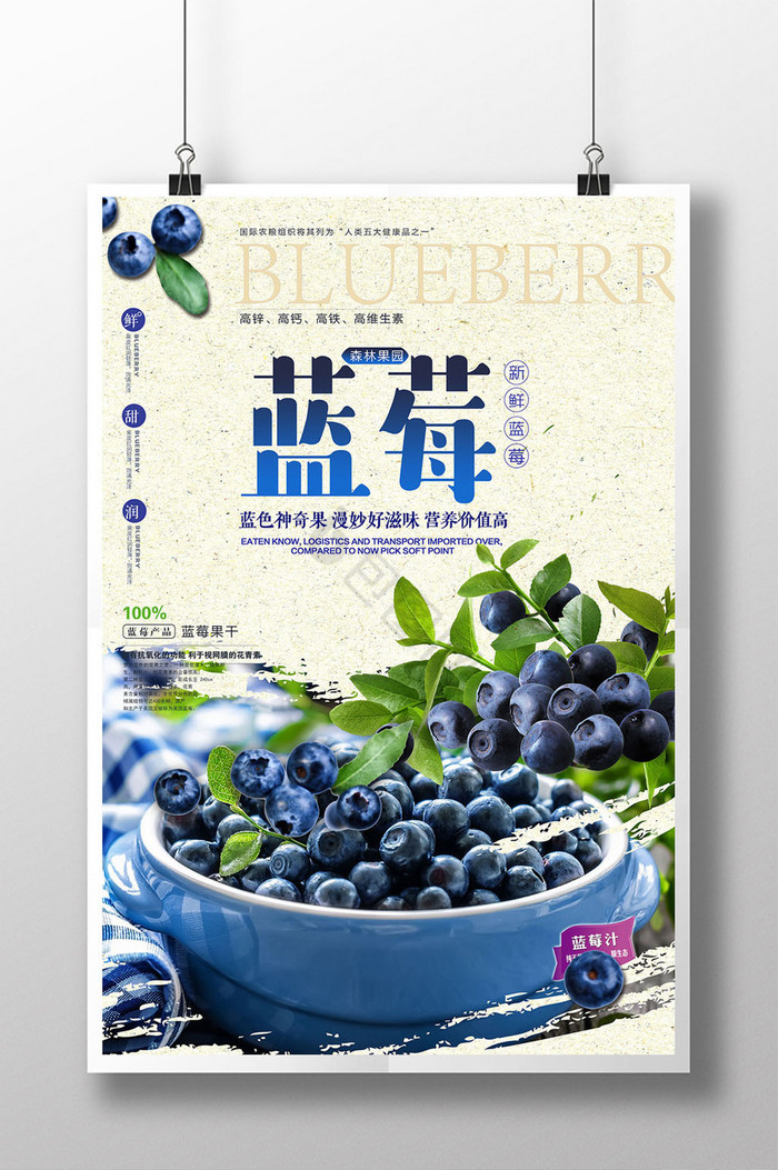 蓝莓水果新鲜促销模板图片