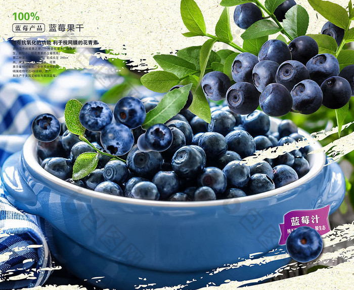 蓝莓水果新鲜促销海报模板