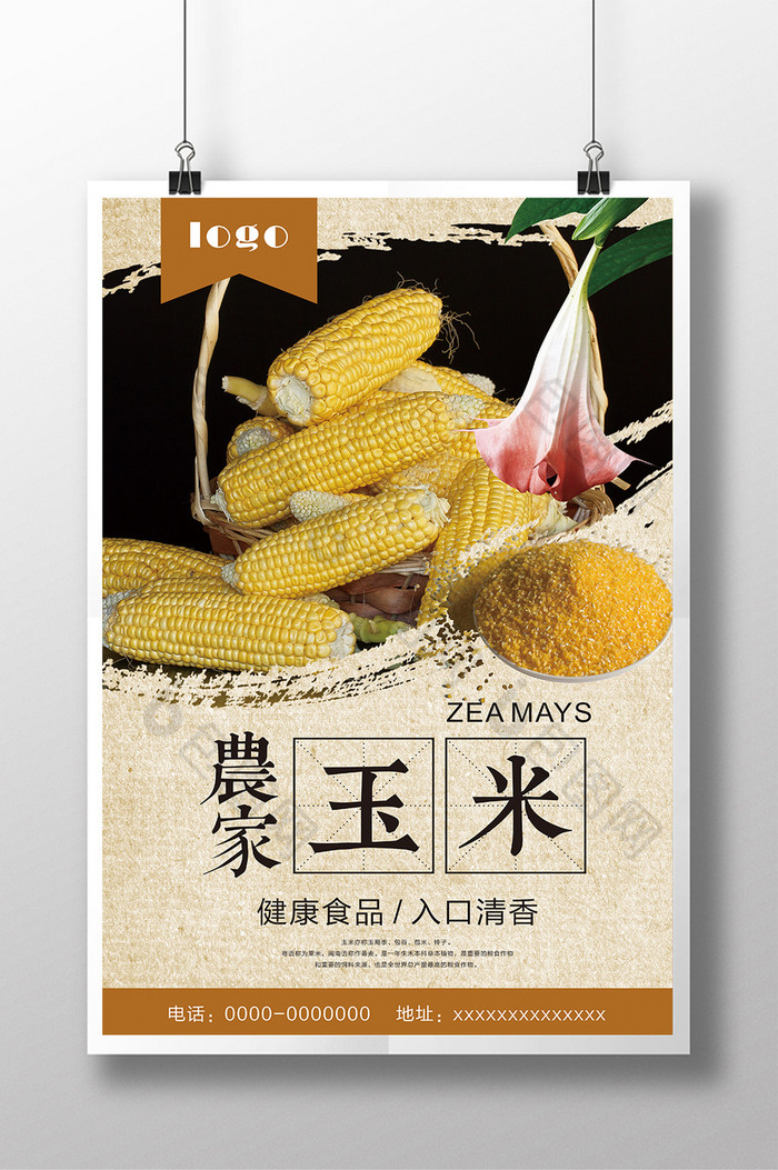 玉米种子玉米汁玉米谷物图片