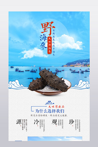 大咀湾野生海参食品详情图片