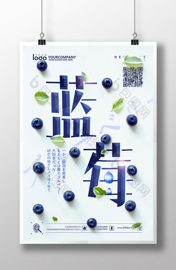 简约蓝莓创意海报设计