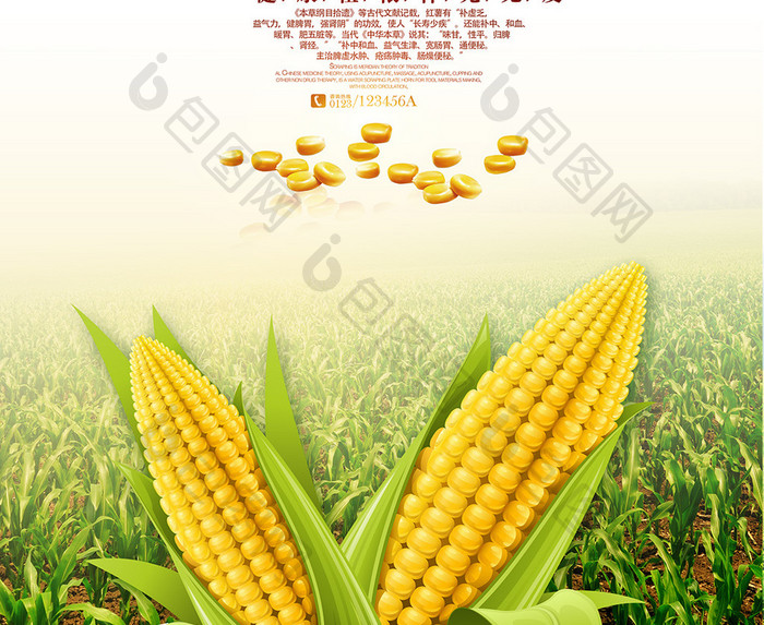 大气甜玉米海报设计