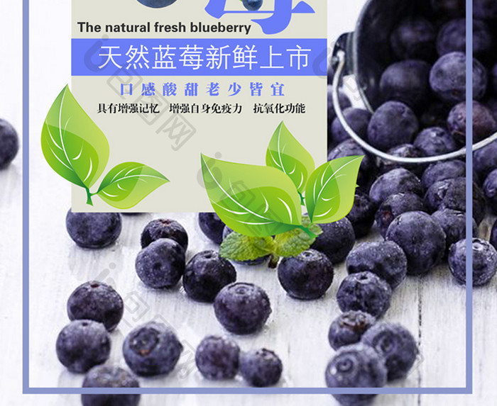 清新蓝莓果干pop促销水果店海报