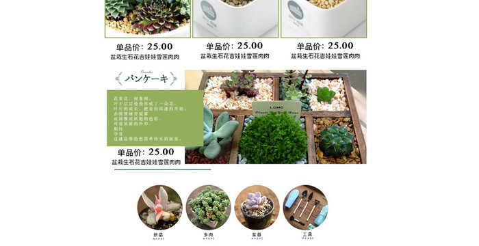 淘宝日式风格肉多植物首页