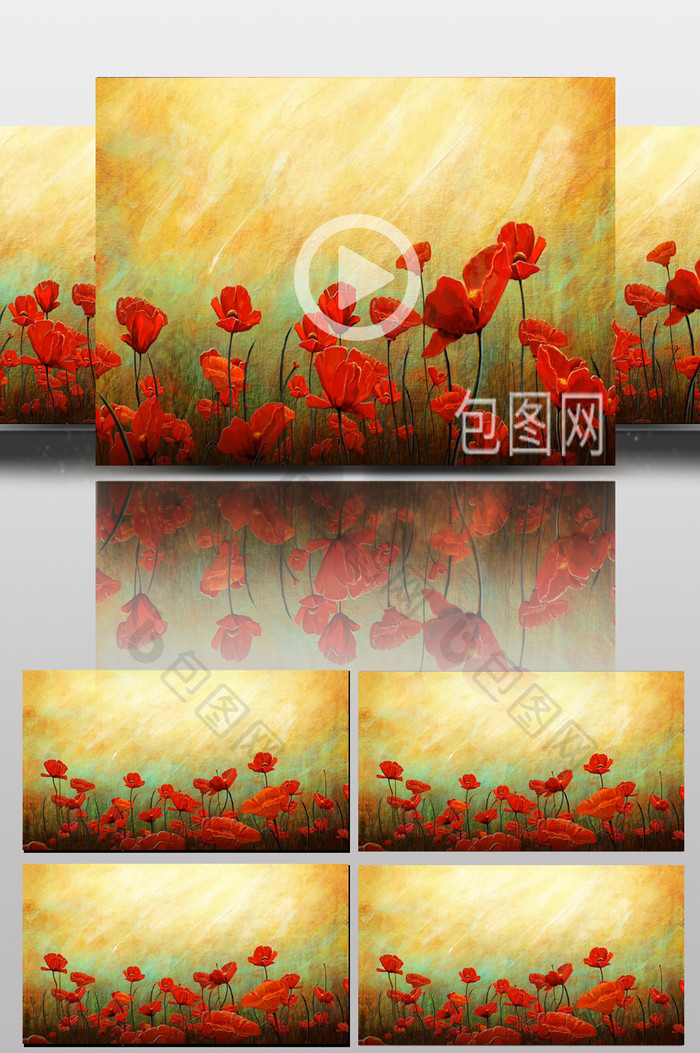 油画红色花朵视频