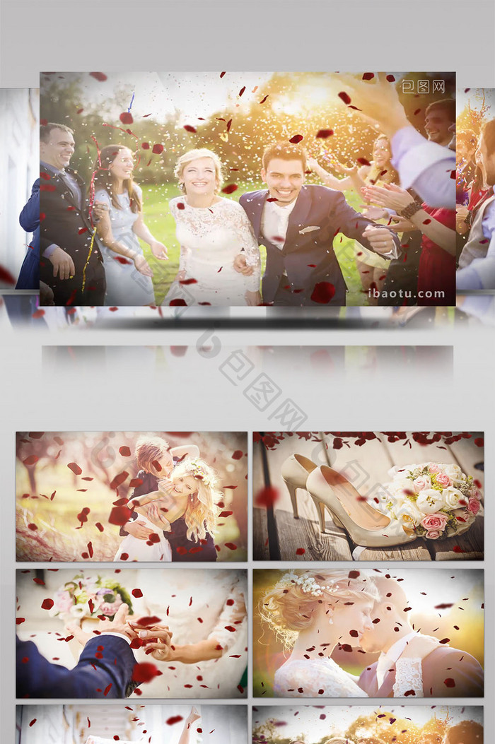 飘落的玫瑰花瓣转场展示情人节照片AE模板